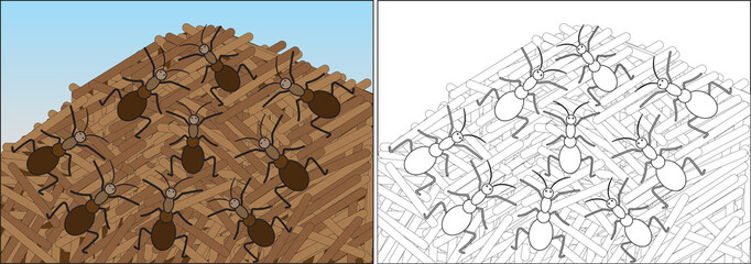 Wall Mural - Coloring book for children. Ants are crawling on the anthill, cartoon. Vector illustration.