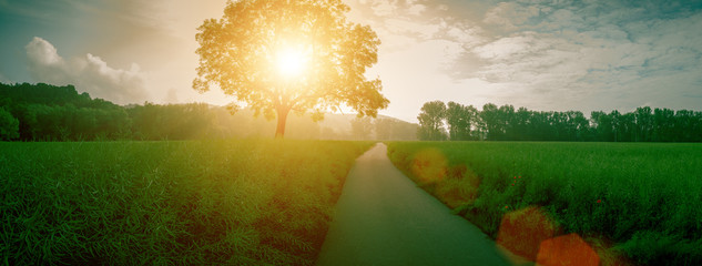 Canvas Print - Panorama of the morning meadow with a tree during sunrise