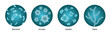 bacteria viruses ameba yeast icon vector