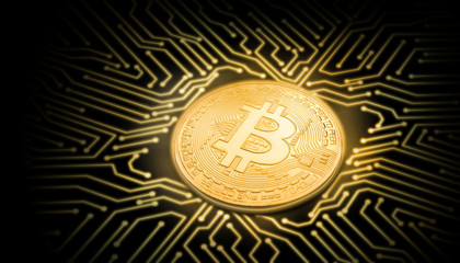 Poster - gold bitcoin perspective view on glow computer circuit board on black background. illustrate technol