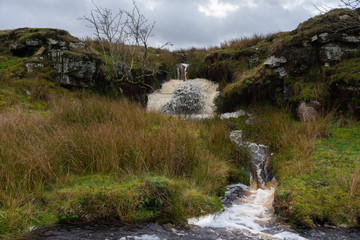 Wall Mural - Moorland stream in winter