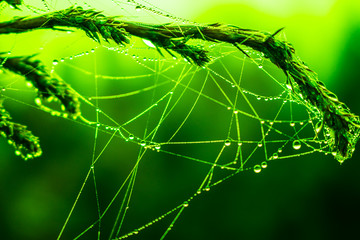 abstract background