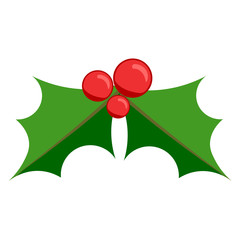 Mistletoe vector illustration