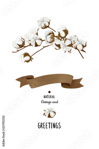 Cotton Bolls And Branches Greeting Card Template Print Decoration