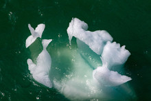 Iceberg Glacier Bay Alaska