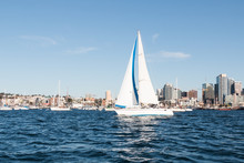 A Sailboat In San Diego Bay With The Downtown Skyline In The Background.