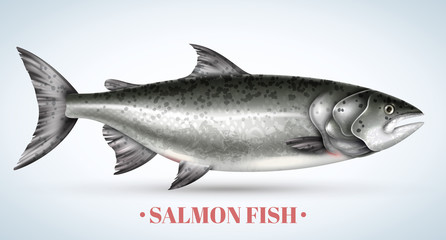 Poster - Realistic Salmon Background