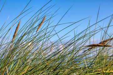 Canvas Print - Lübecker Bucht