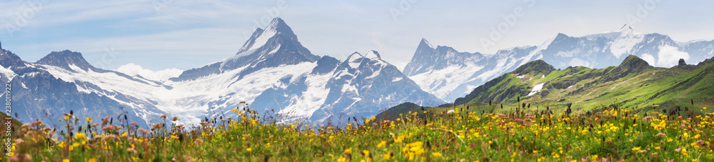 Alpine peaks of Grindelwald and Jungfrau. Landskape background of Bernese highland. Alps, tourism, journey, hiking concept. - obrazy, fototapety, plakaty 