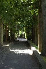  Allee auf der Roseburg