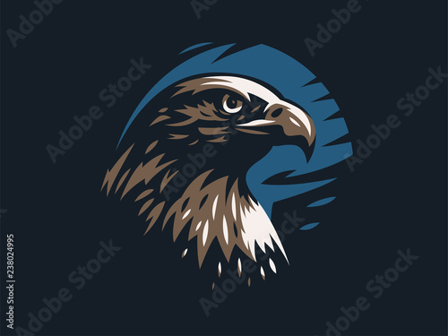 Fotomural Eagle or hawk with outstretched wings.