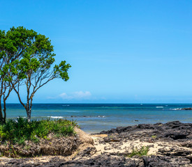 tropical beach and sea