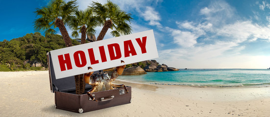 Wall Mural - holiday concept with crab