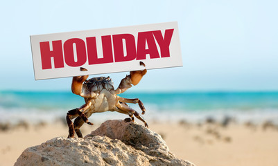 Wall Mural - crab on wild nature