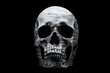 © raland - Lake surface in the skull isolated on a black background