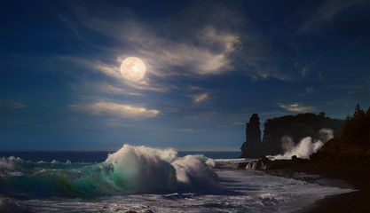 Wall Mural - beautiful moonlight seascape with ocean waves crushing on rocky coast