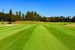 © show999 - [Japan] Golf Course [No.6825]
