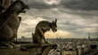 Gargoyles on Notre Dame de Paris overlooking Paris, France