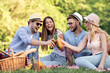 © ivanko80 - Friends on the picnic in nature.