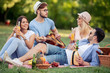© ivanko80 - Group of young friends enjoying picnic time