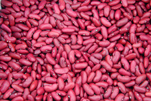 Red Kidney Beans Background
