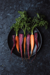 Wall Mural - Fresh harvested organic carrots on black plate on dark background top view.