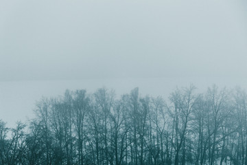 Naklejka na meble Winter forest trees in fog, snow nature landscape with mist as winter background for design with copy space