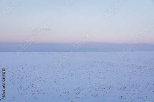 Fotografie, Obraz A snowy field in rural upstate New York, USA.