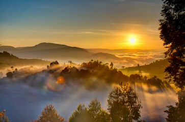 uganda sunrise with trees, hills, shadows and morning fog