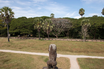 Wall Mural - View from the Angkor temple on the park