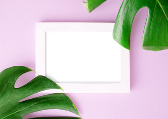 Flat lay top view photo frame with Two green monstera leaves on bright pink background. Tropical mock up. space for text or lettering