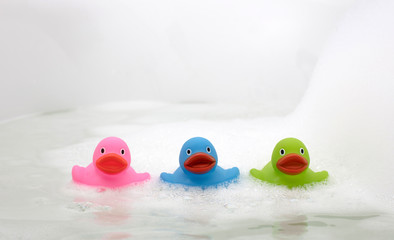 Wall Mural - Pink, green and blue duck in a bathtub