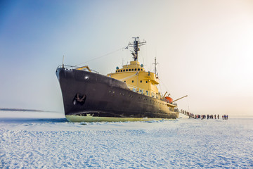 Wall Mural - Great icebreaker