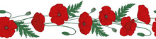 Seamless Brush. Seamless Border. Red Poppy Flowers. Papáver. Green Stems And Leaves. Hand Drawn Vector Illustration. 