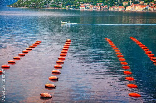 Fotografía Fish and mussels farm in the bay of Kotor