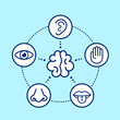 Five human senses surrounding brain. 