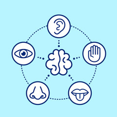 Five human senses surrounding brain. 