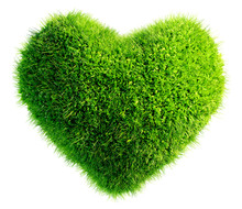Green Leaves In Heart Shape Isolated