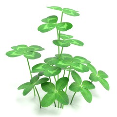 Sticker - Realistic 3D Render of Clover Plant