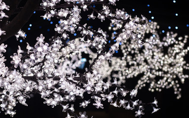 Wall Mural - Festive white Christmas lights background with bokeh effect