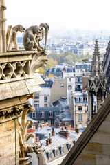 Three stone statues of chimeras overlooking the rooftops of the historic center of Paris from the towers gallery of Notre-Dame cathedral with the city vanishing in the mist in the distance.