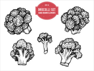 Vector collection of hand drawn black and white brocolli