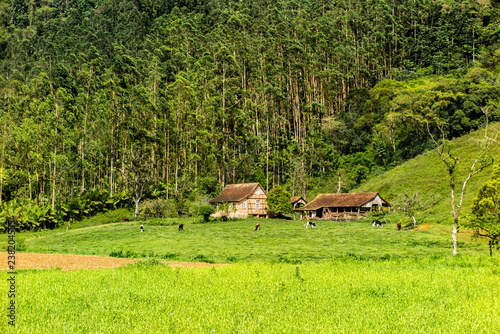 Farmhouse In Half Timbered Style With Barn Next Door Cows