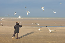 Young Girl Feeding Seagulls At The Beach