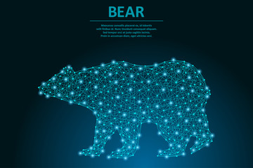 Aufkleber - Bear made by points and lines, polygonal wireframe mesh, low poly animal illustration. Vector.