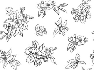 Ink hand drawn seamless pattern. Apple flowers and leaves for design. White background. Line art