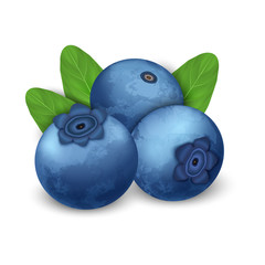 Poster - blueberry icon. realistic illustration of blueberry vector icon for web design isolated on white bac