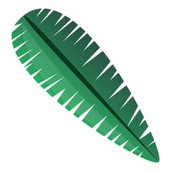 Poster - Tropical leaf icon. Cartoon of tropical leaf vector icon for web design isolated on white background