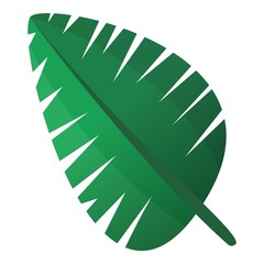 Poster - Paradise leaf icon. Cartoon of paradise leaf vector icon for web design isolated on white background
