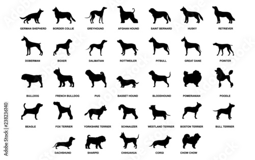 Fotografía Dog breeds silhouette set vector design printable wall art decal home decor orna